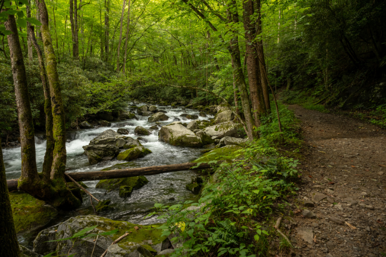 Things To Do Bear Creak Trail
